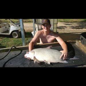 Meet your Posher, Noah